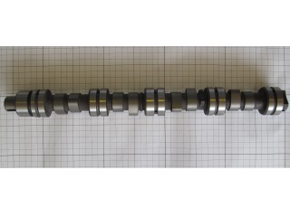 Вал распределительный Chery Amulet 480EE-BJ1006015