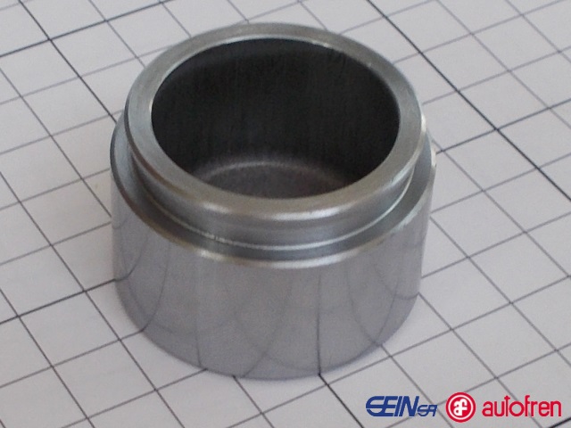 ����������� �������� ���������� (�������) (Seinsa Autofren - �������)