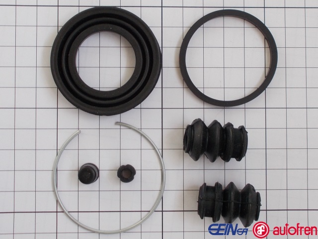 ����������� �������� ������� (������� ��� ������) (Seinsa Autofren - �������)